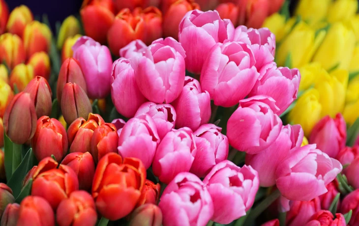 Эксперт Желябина рассказала, какие подарки не стоит дарить на 8 марта коллегам Эксперт Желябина рассказала, какие подарки не стоит дарить на 8 марта коллегам