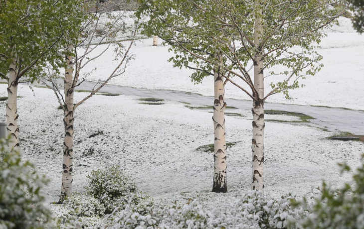 Синоптик Леус: 14 октября в Москве выпало 17 процентов месячной нормы осадков Синоптик Леус: 14 октября в Москве выпало 17 процентов месячной нормы осадков