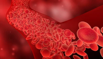 Кровь из глаз и диарея: смертельный вирус Марбург выявили в Германии