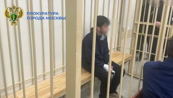 Подростка, напавшего с ножом на охранника в ТЦ в Москве, отправили в СИЗО