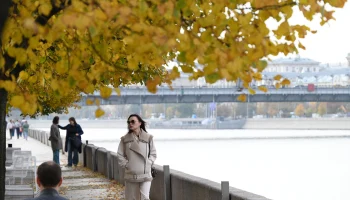 Синоптики пообещали москвичам облачную погоду без осадков 9 ноября