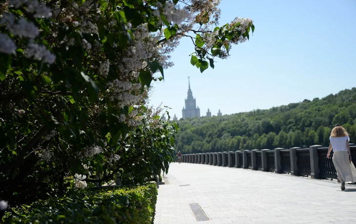 МЧС: Сильная жара до плюс 30 градусов сохранится в Москве 1 и 2 июня МЧС: Сильная жара до плюс 30 градусов сохранится в Москве 1 и 2 июня