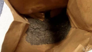 Таможенники во Внуково нашли в багаже радиоактивный вулканический песок