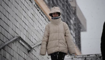 Москвичей предупредили о порывистом ветре до 20 метров в секунду в четверг