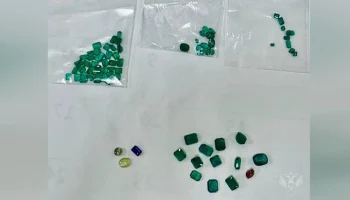 Домодедовские таможенники пресекли контрабанду самоцветов из Индии