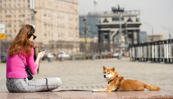 Синоптик Ильин рассказал, когда в Москву после похолодания вернется тепло