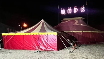 Пантера напала на ребенка в передвижном цирке в Приангарье