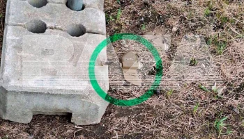 РИА Новости: учебную мину "Лепесток" нашли возле дома в Москве