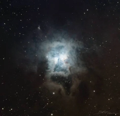 Роскосмос подарил женщинам «космический букет» в преддверии 8 Марта