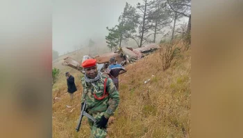 Лидер Малави подтвердил гибель вице-президента в авиакатастрофе