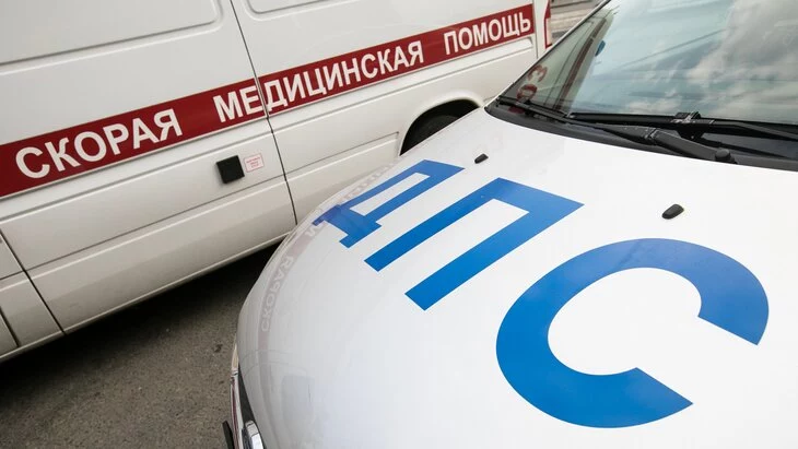 Число погибших на дорогах Москвы детей выросло на 67% с начала 2024 года