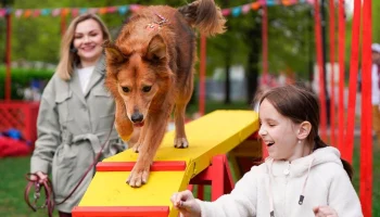 Гости мероприятия &laquo;Моспитомца&raquo; познакомятся с животными из приютов