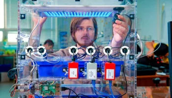 Столичные предприятия увеличили объем производства игрушек