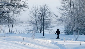Синоптик Тишковец сообщил, когда в Москву вернется зимняя погода после оттепели