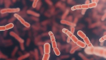 Врачи предупредили о распространении &laquo;плотоядной болезни&raquo;. Насколько она опасна