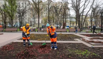 Подготовка цветников к весенне-летнему сезону началась в Москве