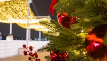 Катки в &laquo;Коломенском&raquo; продлят работу в новогоднюю ночь