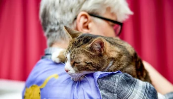 Животные из приютов обрели дом на мероприятии &laquo;Моспитомец х Четвероногий друг&raquo;