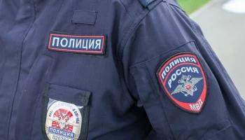 Москвич убил топором свою жену во время сбора грибов в лесу Владимирской области