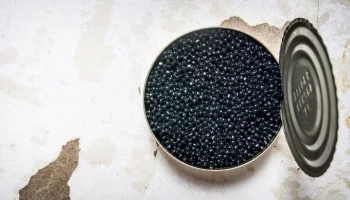 Пограничники в Хабаровске изъяли 400 кг незаконно добытой рыбной продукции на 84 млн руб