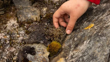 За пять лет популярность естественно-научных кружков в Москве выросла почти на 20 процентов