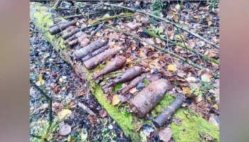 Семнадцать снарядов времен ВОВ были ликвидированы в Подмосковье