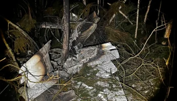 Дело возбуждено после крушения легкомоторного самолета в Подмосковье