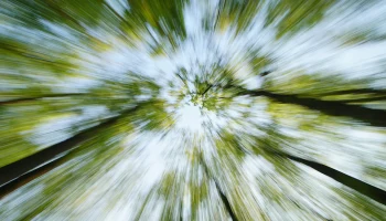 Волонтеры возобновят поиск семьи Усольцевых, когда потеплеет