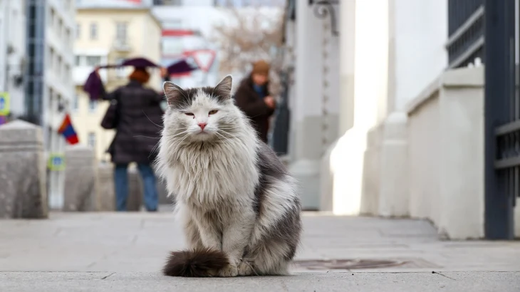 Возможны заморозки: какой будет погода в Москве на следующей неделе Возможны заморозки: какой будет погода в Москве на следующей неделе