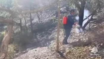 Площадь пожара под Новороссийском выросла до 42 гектаров