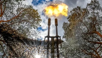 Собянин: с вечера 22 сентября на подлете к Москве уничтожено 46 беспилотников