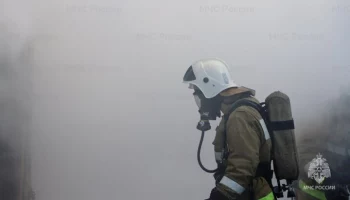 Площадь пожара у тамбовского поселка Тригуляй увеличилась до 645 гектаров