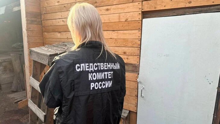 Жительница Красноярского края задержана по подозрению в убийстве трех детей Жительница Красноярского края задержана по подозрению в убийстве трех детей