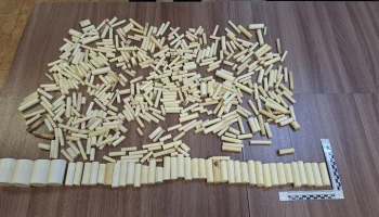 Китаянка пыталась вывезти из России 6 кг бивней мамонта под юбкой