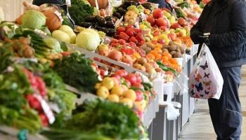 Экономист Холод: овощи и фрукты в России скоро подорожают на 15%