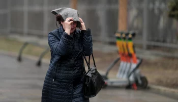 Порывы ветра до 14 метров в секунду ожидаются в столице 7 мая