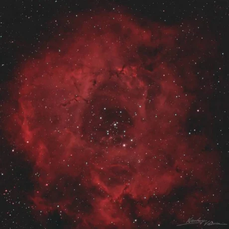 Роскосмос подарил женщинам «космический букет» в преддверии 8 Марта