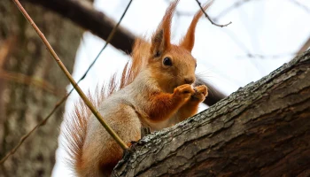 Метеоролог Позднякова рассказала, как долго в Москве сохранится теплая погода