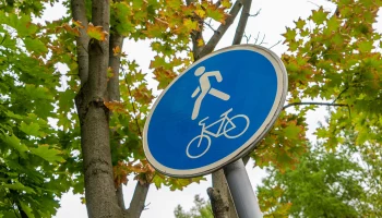 Более 19&nbsp;тысяч случаев парковки машин на&nbsp;велодорожках выявили в&nbsp;Москве с начала года