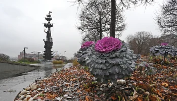 Метеоролог Позднякова рассказала, когда Москву накроет аномальное тепло