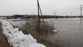 Вода в реке Тобол у Кургана поднялась до 1 012 сантиметров