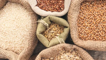 Россия собрала третий по объему в истории страны урожай зерновых