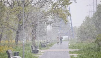 Москвичам рекомендовали пересесть на общественный транспорт из-за майского снегопада