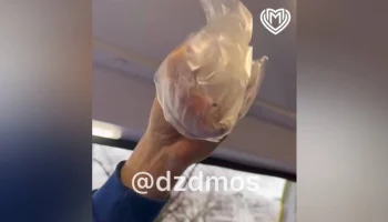 Столичную пекарню закрыли после отравления двух человек ртутью