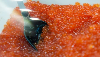 Спрос на рыбу свежего улова и красную икру вырос на московских рынках в сентябре