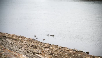 &laquo;Оранжевый&raquo; уровень опасности объявили в Подмосковье из-за угрозы паводка