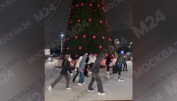 Торжественное открытие катка состоялось в Парке Горького