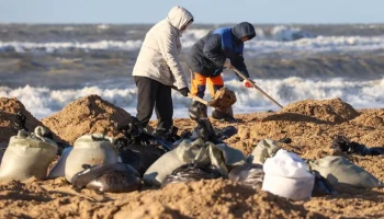 Бастрыкин поручил возбудить дело о бездействии в ликвидации мазута в Анапе