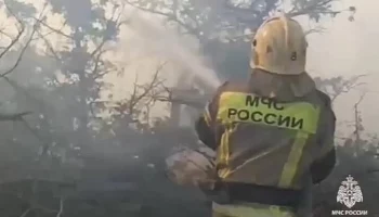 Более 500 человек эвакуировали с 6 баз отдыха из-за пожара под Новороссийском