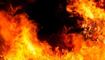 Канадец, обвинявший правительство в лесных пожарах, признался в 14 поджогах &ndash; СМИ